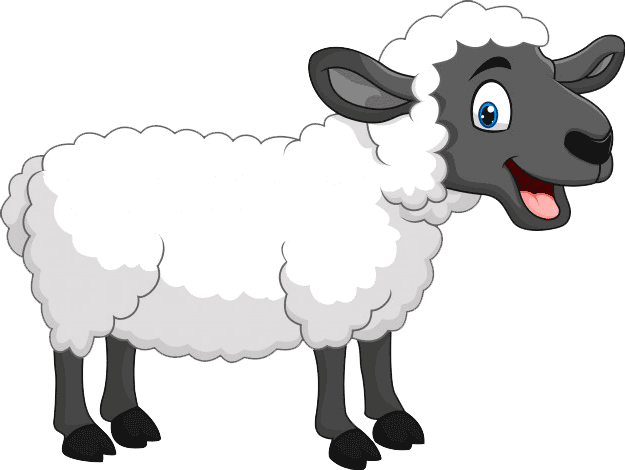 Phone with vet video chat