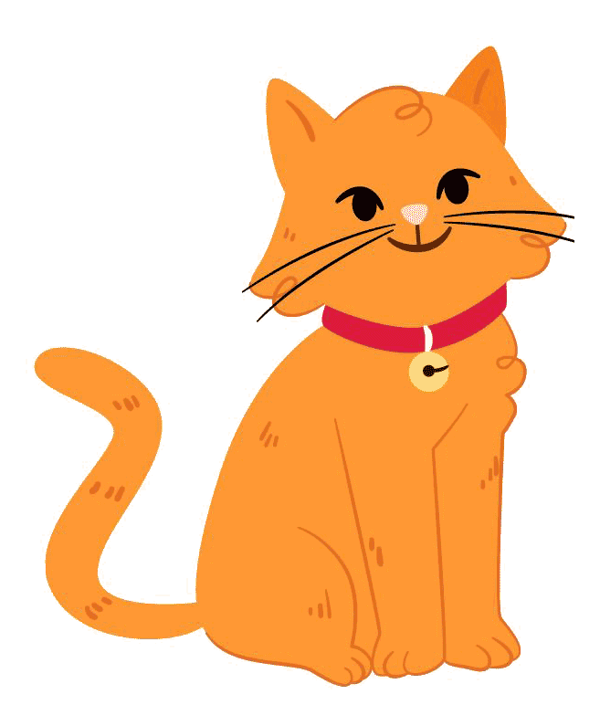 Phone with vet video chat