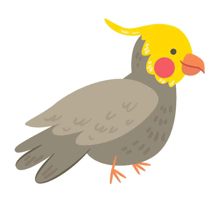 Phone with vet video chat