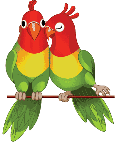 Phone with vet video chat